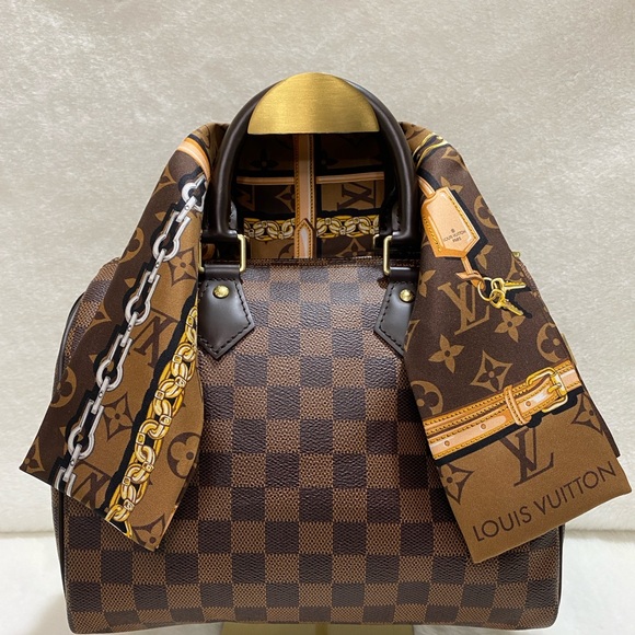 Louis Vuitton Handbags - LOUIS VUITTON DAMIER EBENE SPEEDY 25